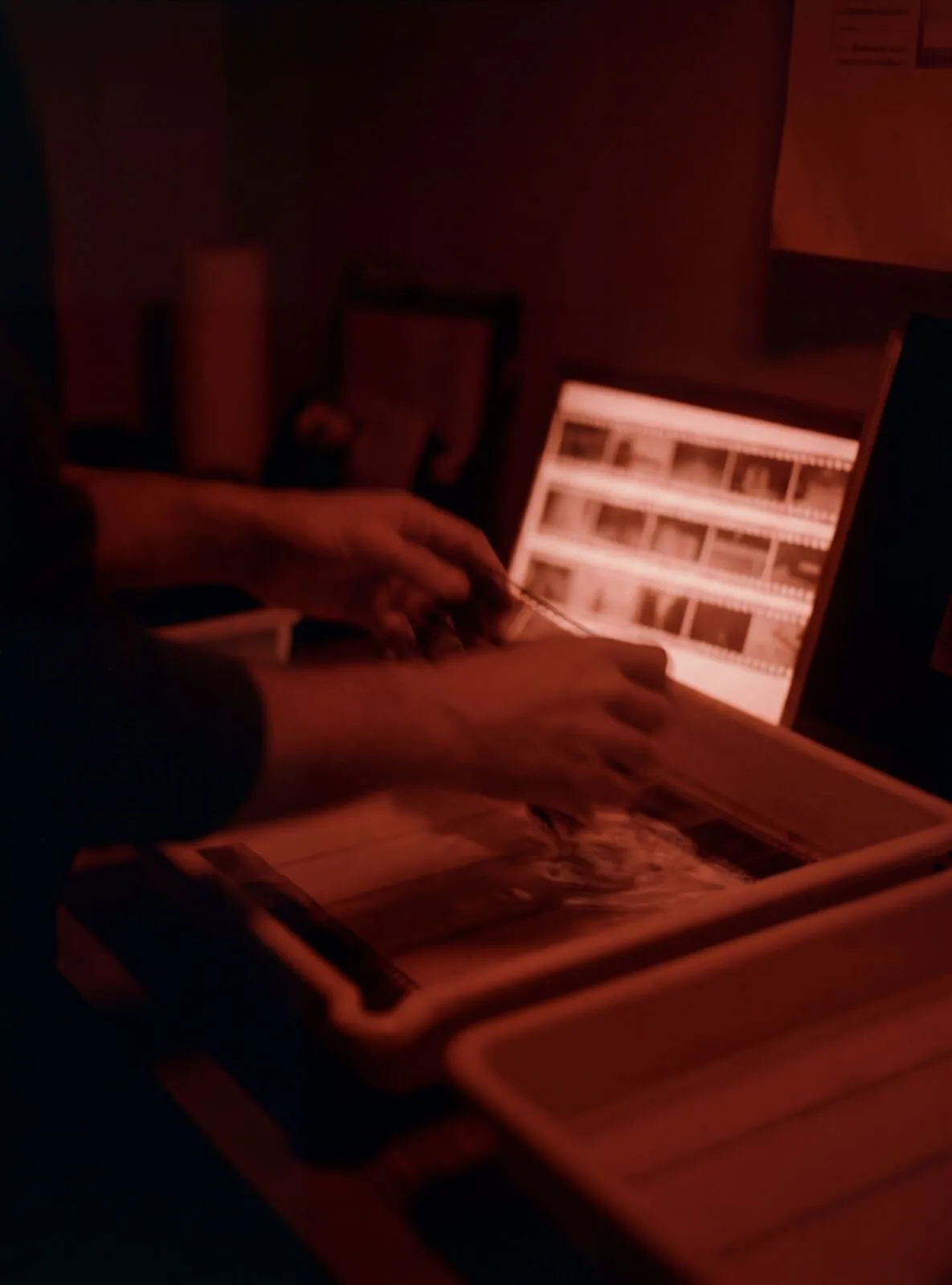 Darkroom — inspecting film negatives under safelight