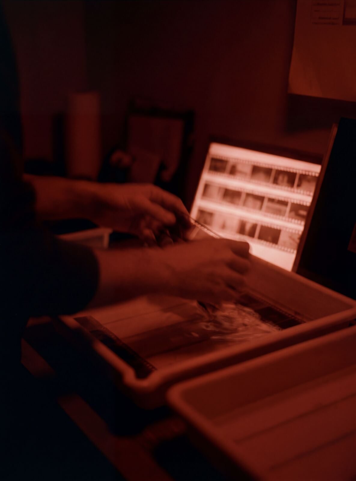 Darkroom — inspecting film negatives under safelight